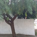 CASA À VENDA – BAIRRO MORADA DO SOL – AVARÉ/SP